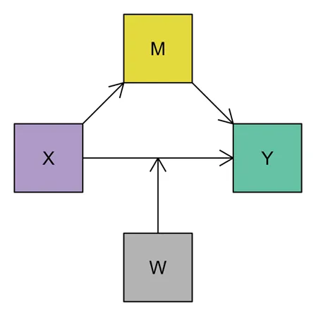 Causal Inference in JASP: The Process Module