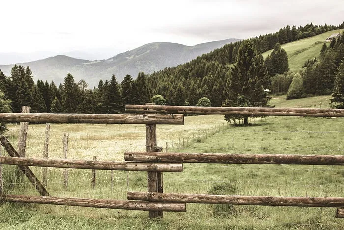 Is scientific software the new land grab?